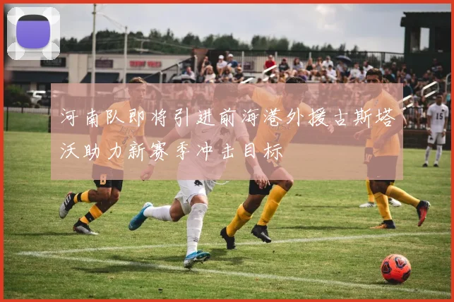 河南队即将引进前海港外援古斯塔沃助力新赛季冲击目标