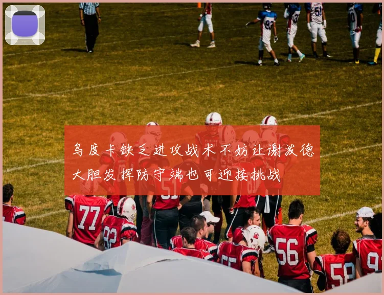 乌度卡缺乏进攻战术不妨让谢泼德大胆发挥防守端也可迎接挑战