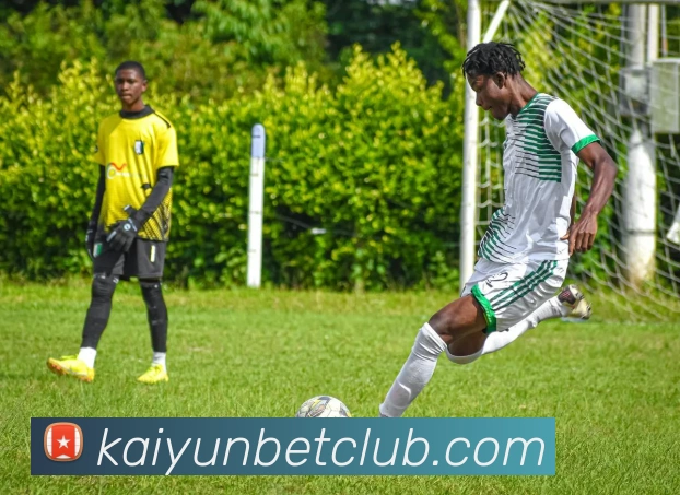 App Interface Preview