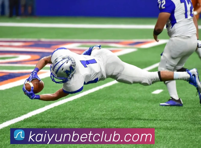 开云体育APP 封面图